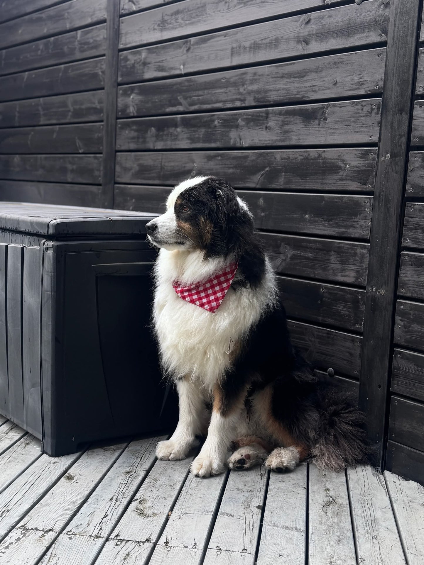 Rautt flekkótt Bandana