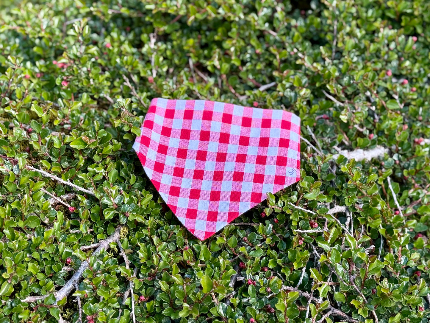 Rautt flekkótt Bandana