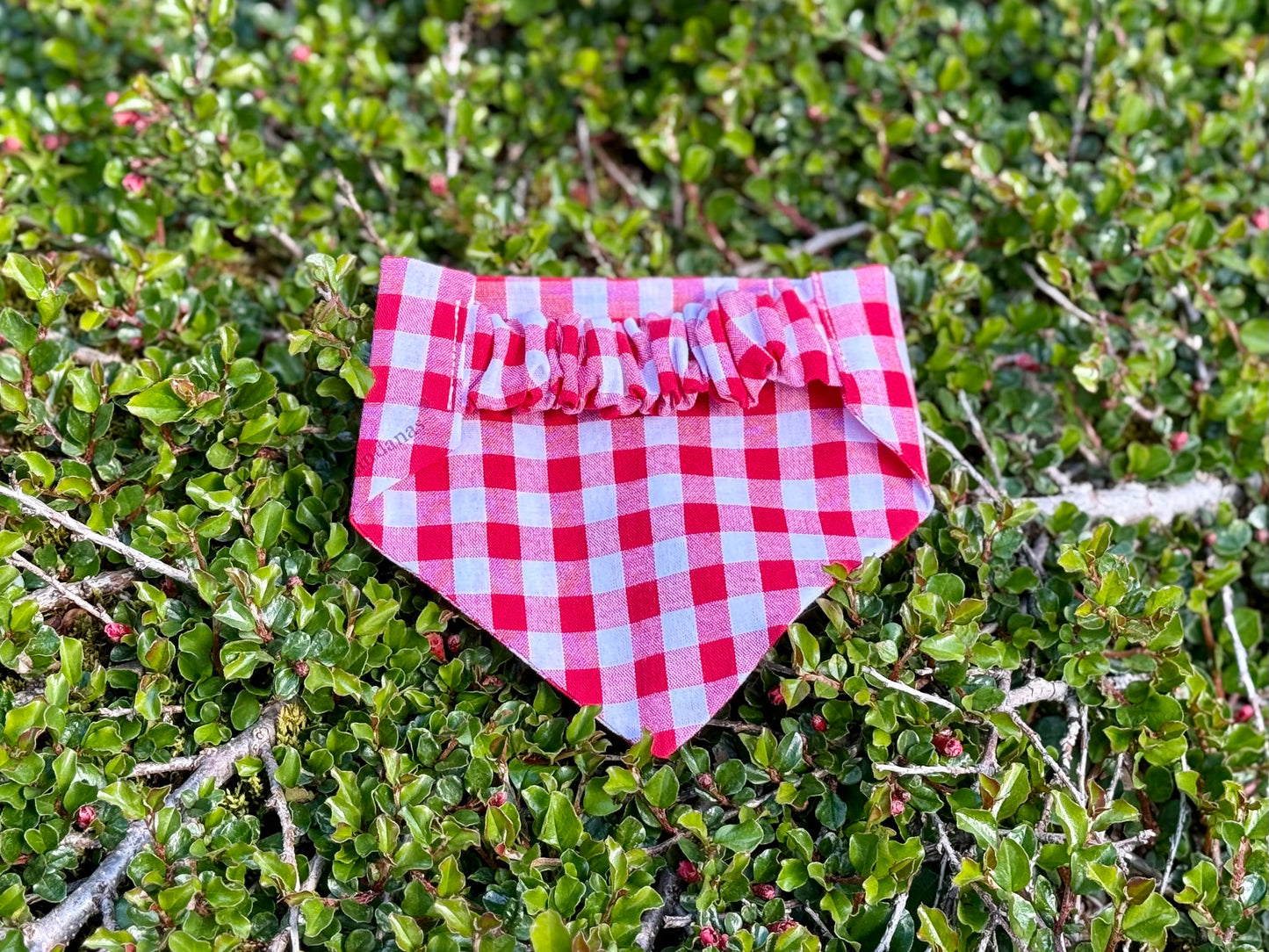 Rautt flekkótt Bandana