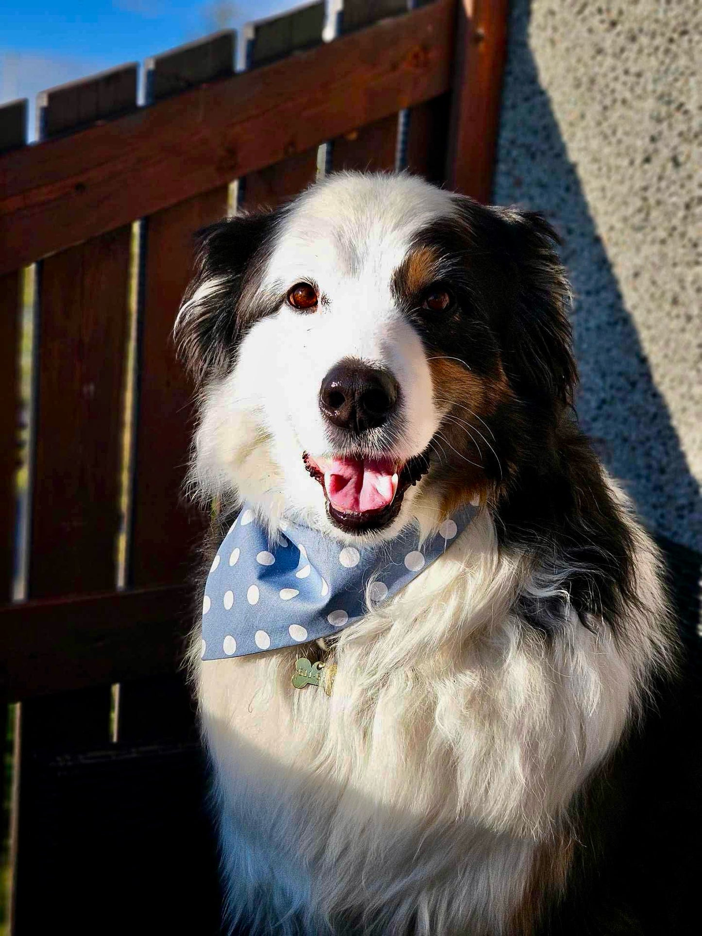 Blátt Doppótt Bandana