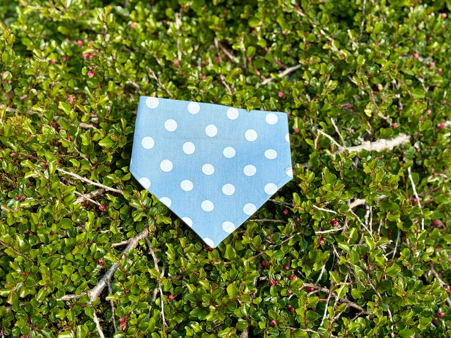 Blátt Doppótt Bandana