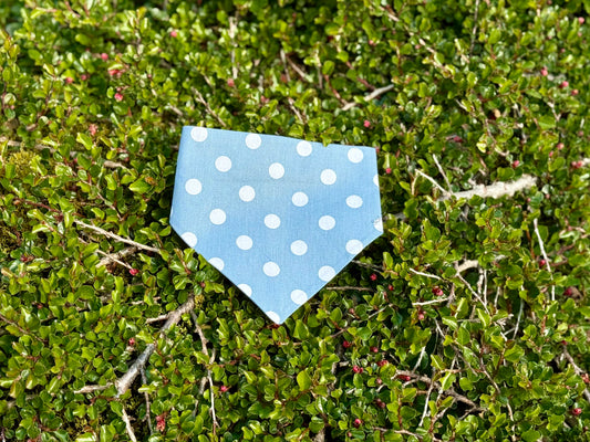 Blátt Doppótt Bandana