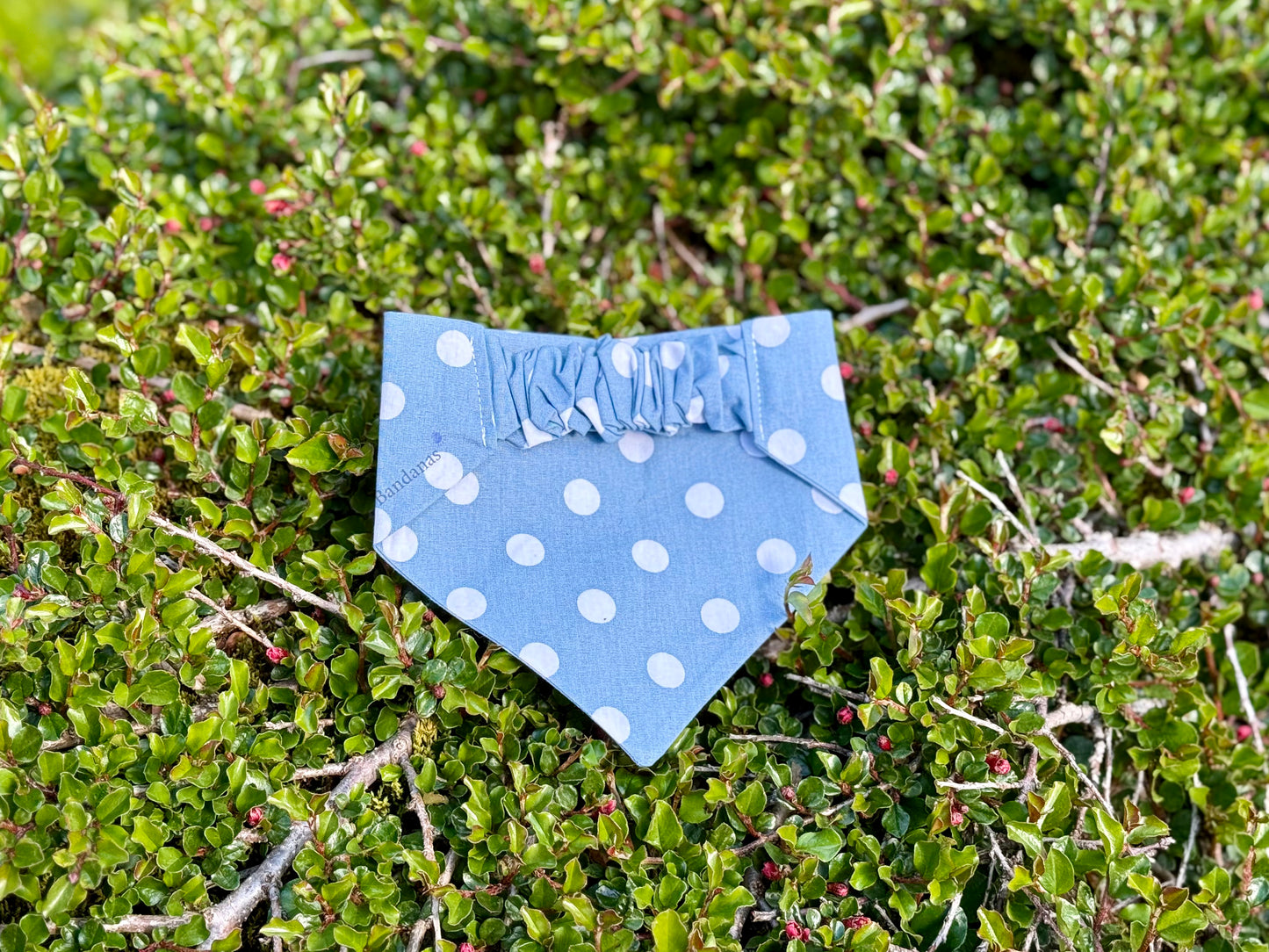 Blátt Doppótt Bandana