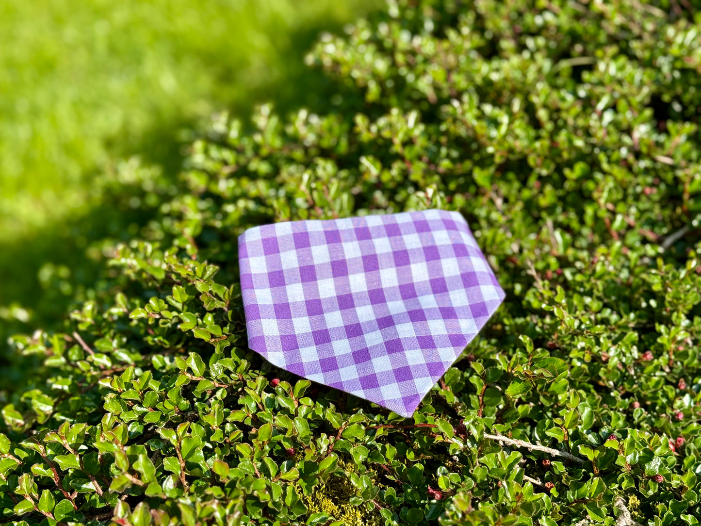 fjólublátt flekkótt Bandana