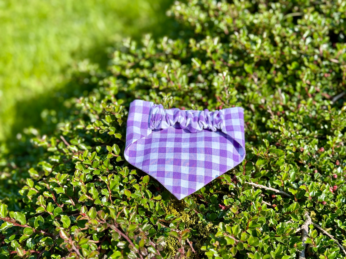 fjólublátt flekkótt Bandana